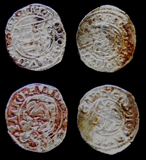 Novčići koji su pronađeni u Pećini Mokranjske Miljacke